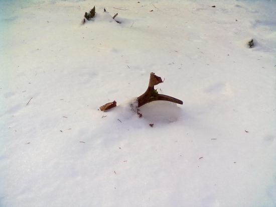 skrity neskrity idem