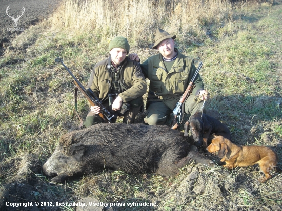 úspešná dohladávka