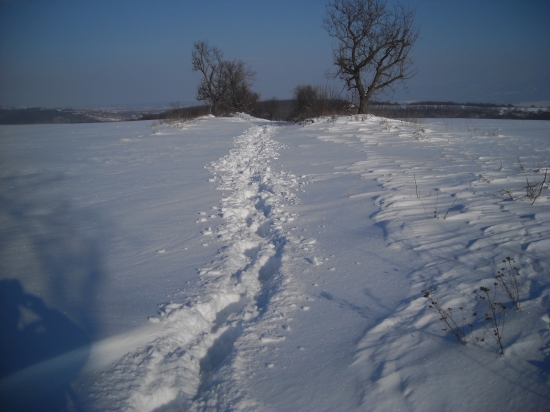 SNEH? - už len mynulosť???