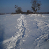 SNEH? - už len mynulosť???