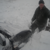 starostlivosť o zver - ráno sa začalo takto