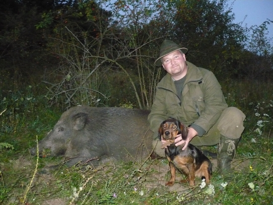 úspešná dohladávka