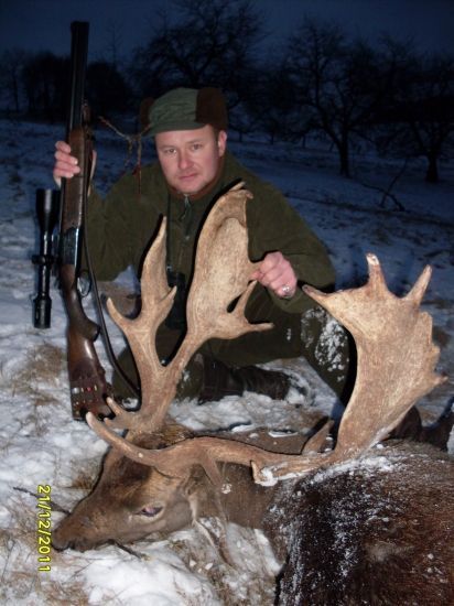 Vlani pod stromček...