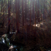 Večerná hra svetla