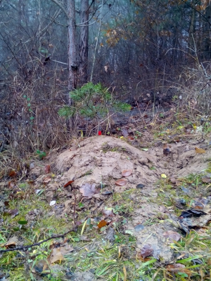 CARA Belianské Tatry