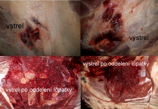9,3x62 - prebíjané MJG-10g
