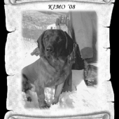 Kimo
