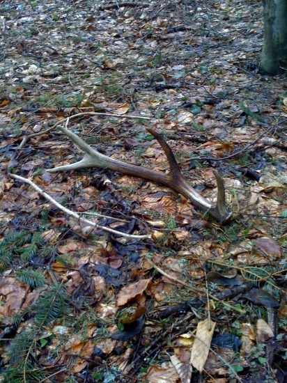 Otcovi sa postastilo