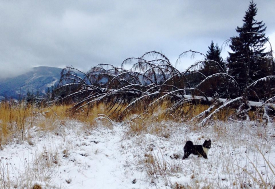 Aspon sme sa presli...