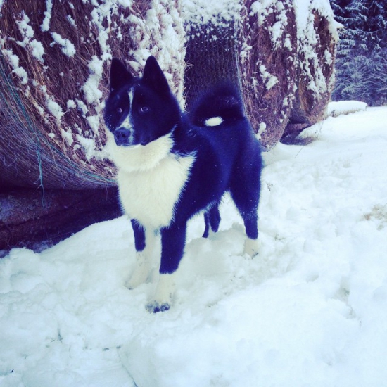 Uz som skoro dospela :-)