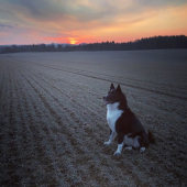 Za rana za rosy s REL