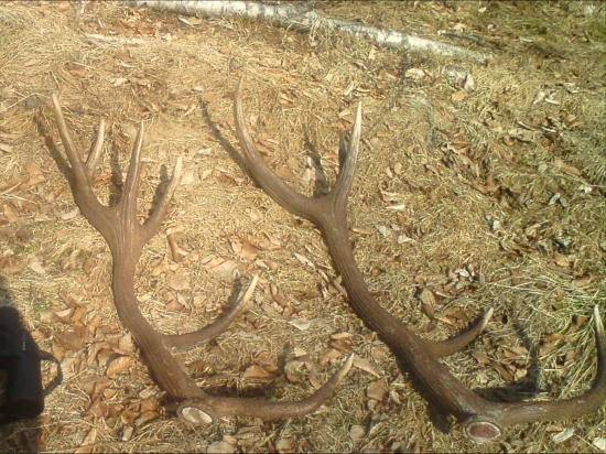 konečne sa zadarilo