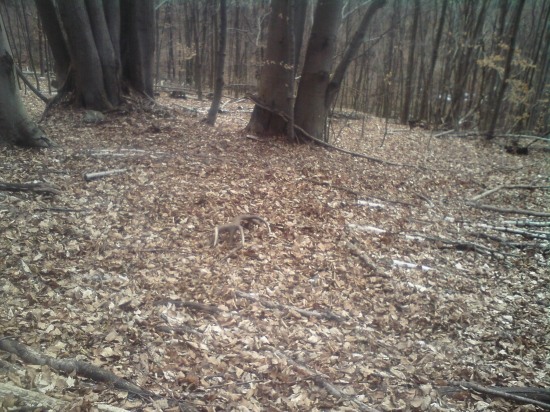 prvy pohlad druhy zhod