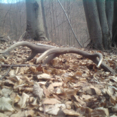 už len krasna spomienka