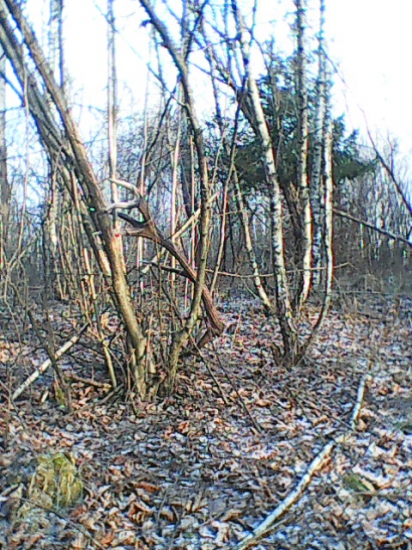 zavesil ho ako klobúk.