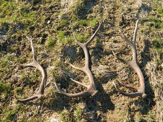 Pekný slnečný deň.