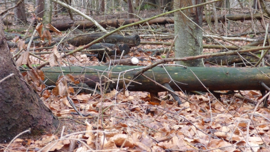 Prvý pohlaď najkrajší