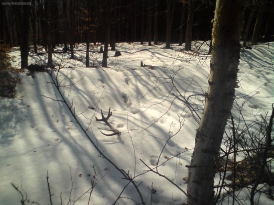 Konečne po troch tyždnoch.