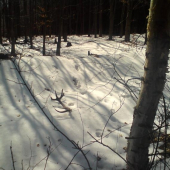 Konečne po troch tyždnoch.