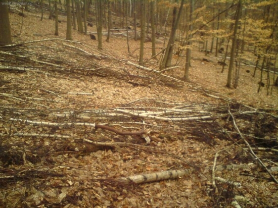 krasny velkonočny pondelok