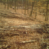 krasny velkonočny pondelok