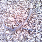 vlanajsi dlhy ale tenky