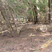 LIPTOV SPOMIENKA NA 2009