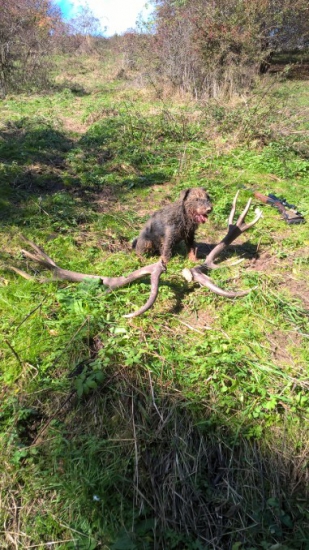 krásna nedelná prechádzka so zlým koncom