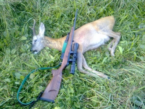 Kulovnice CZ 527 r.223 Rem. s optikou Kahles CSX 1,5-6x42L