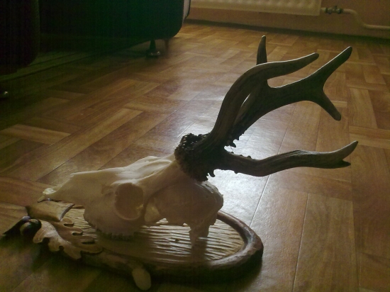 raritka