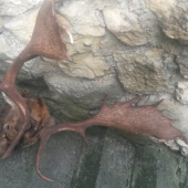 taky slabsi vareskar :)