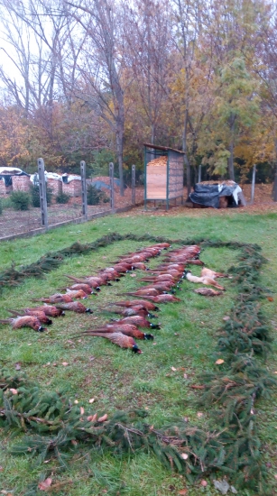 Vydarena polovačka