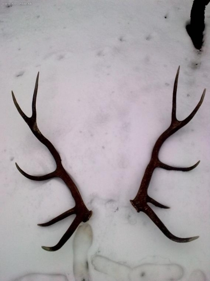 parka ktomu s pondelku 6km od seba