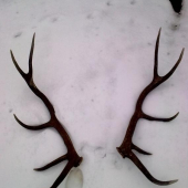 parka ktomu s pondelku 6km od seba