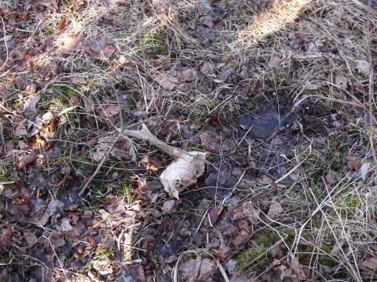 za 5 minut v krovi 2