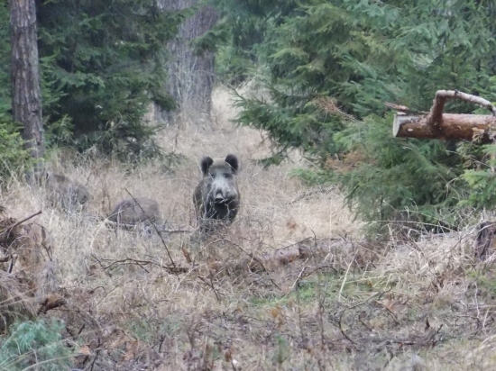 prekvapenie pre oboch