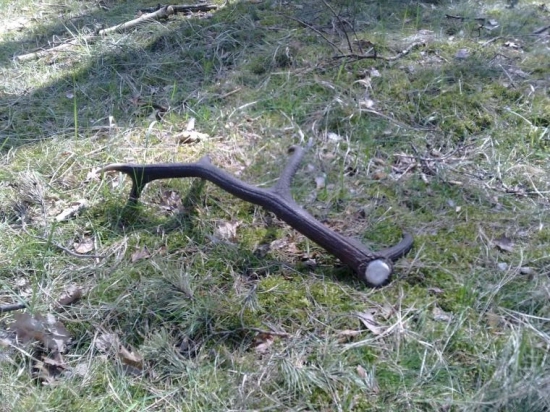 môj prvý 14-torak v zivote:)