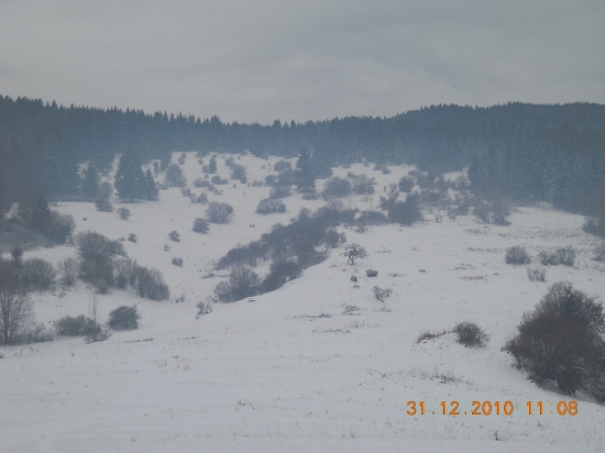 Petkovo