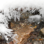 Príroda sa vie pekne pohrat