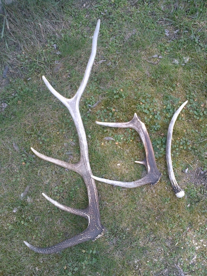 tie menšie ale potešia