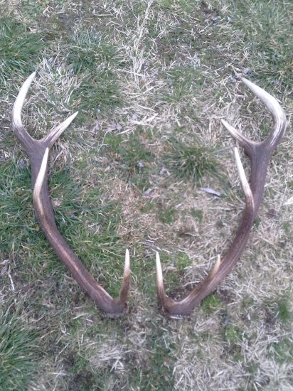 po týždni sú spolu :)