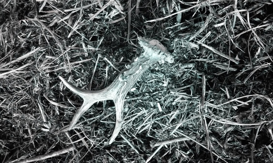 celkom pekný nález :)