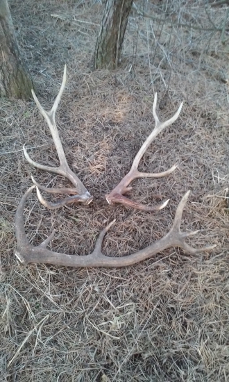 Pekne začatá sezóna 