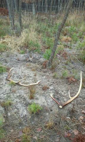 nechal ich obidva :)