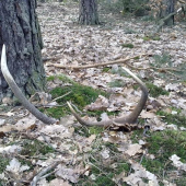 konecne po namahavej ceste