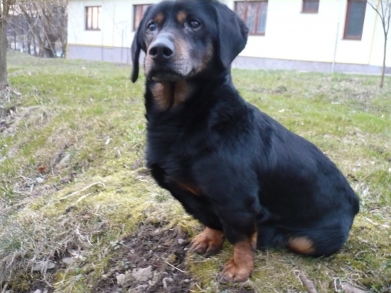 A teraz ma mozes fotit ... !