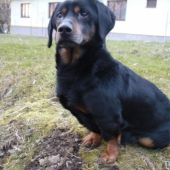 A teraz ma mozes fotit ... !