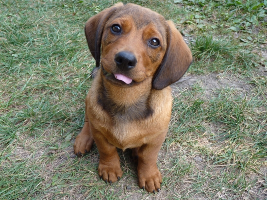 ... akože nenápadne vyplazujem jazyk....