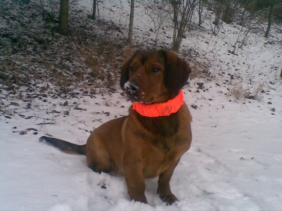 Asi vidím kamoša Huga....