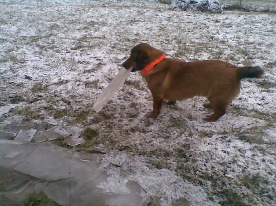 Aj tak ťa rozkušem celý!